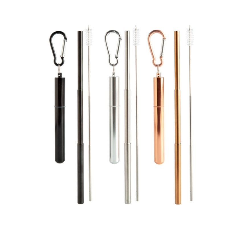 Extendable Straw And Brush Kit (SENT AT RANDOM)
