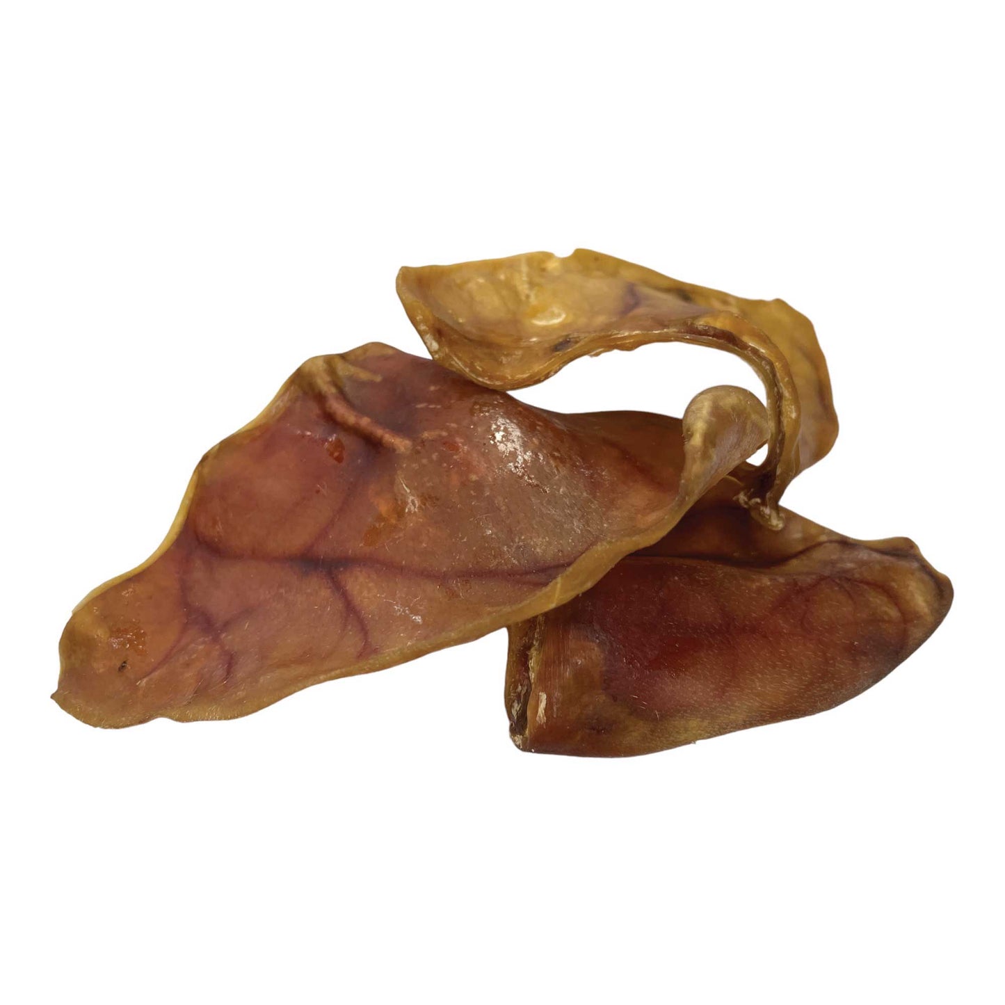 25x Dog Treat Large Pig Ears Whole  - Dehydrated Australian Healthy Puppy Chew