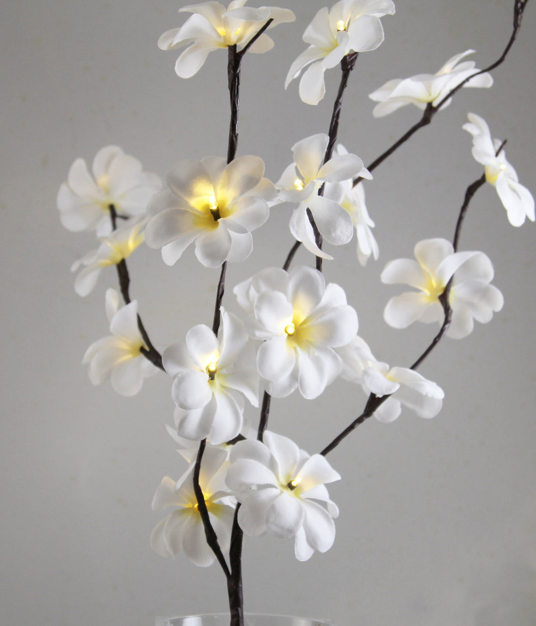 1 Set of 50cm H 20 LED White Frangipani Tree Branch Stem Fairy Light Wedding Event Party Function Table Vase Centrepiece