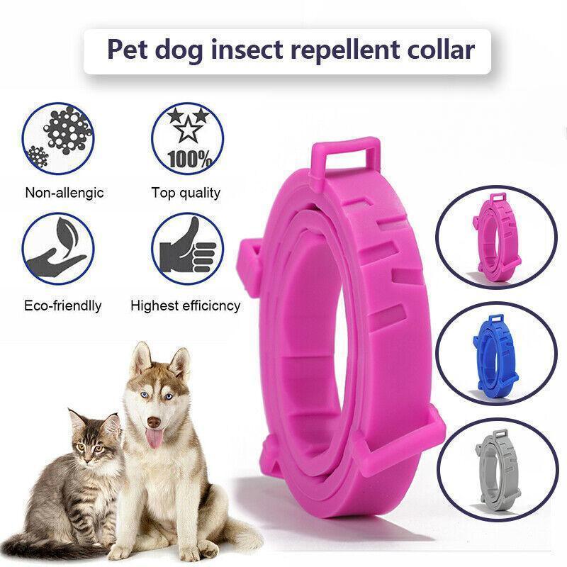 Adjustable Flea and Tick Collar for Dogs and Cats with Natural Repellent - Pink
