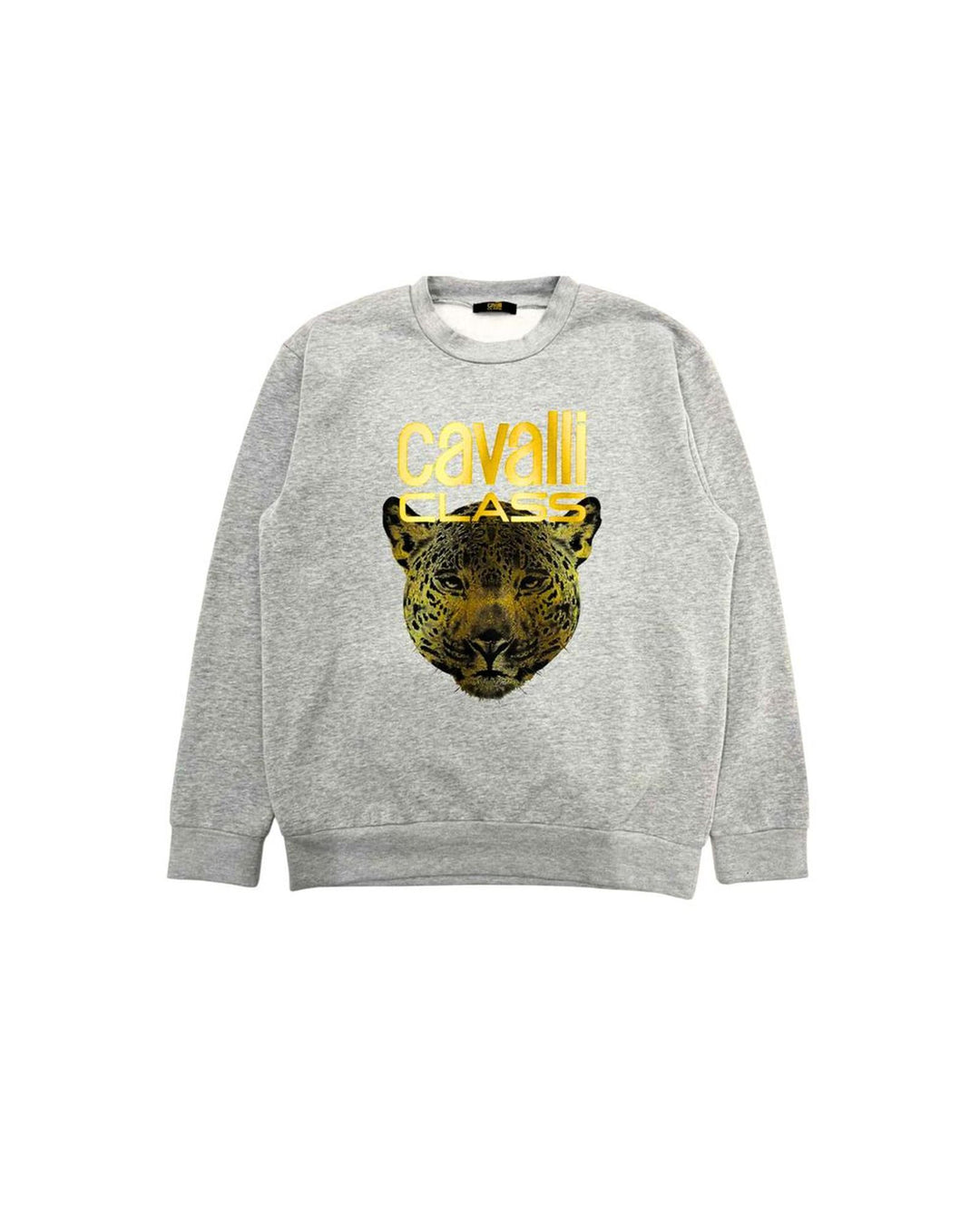 Cavalli Class Men's Gray Polyester Sweater - S
