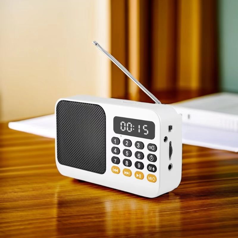 Portable Digital Music Player & FM Radio,4 Playback Modes, LED Flashlight(White)