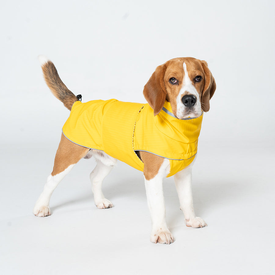 S Yellow All-Season Pet Raincoat - Waterproof & Dustproof High-Collar Dog Windbreaker for Spring