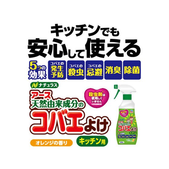 [6-PACK] Earth Japan Insecticidal Repellent & Sterilizing full-efficacy Spray 300g For Kitchen