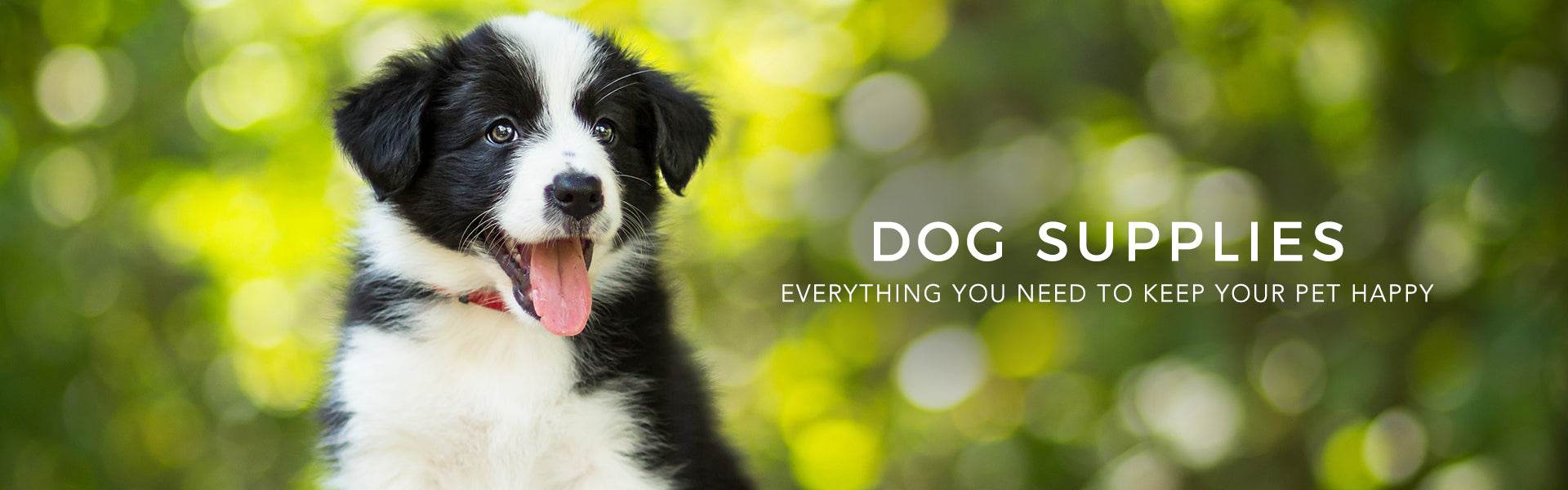 Dog Supplies - ShoppersLane