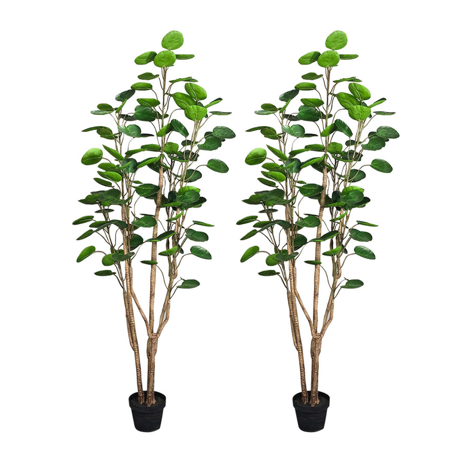 SOGA 2X 150cm Plastic Potted Polyscias Scutellaria Plant Home Garden Artificial Tree, Home Decor