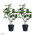 SOGA 2X 95cm Artificial Tree Indoor Nordic Style Artificial Tree Potted Simulation Tree, Home Decor