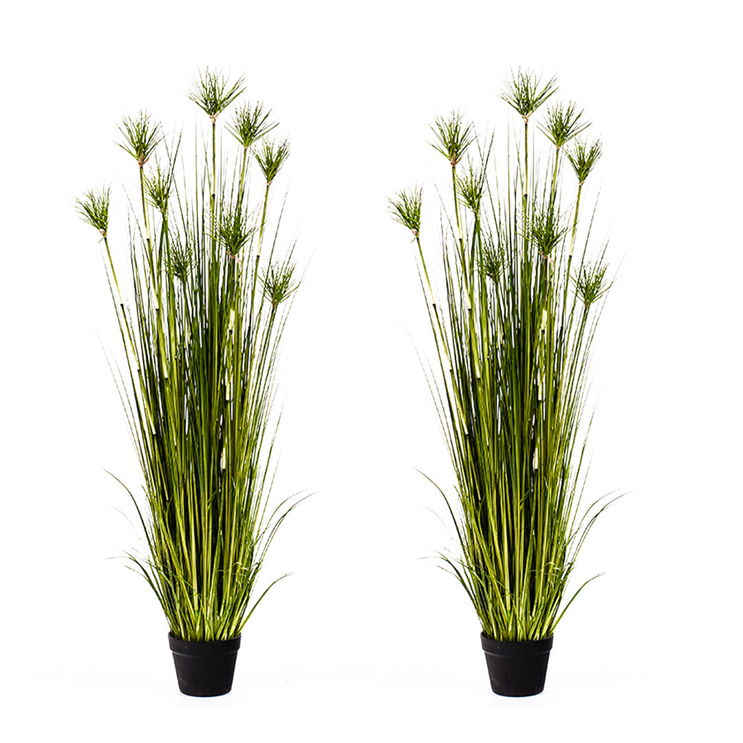 SOGA 2X 150cm Cyperus Papyrus Plant Tree Artificial Green Grass, Home Or Office Indoor Greenery Accent