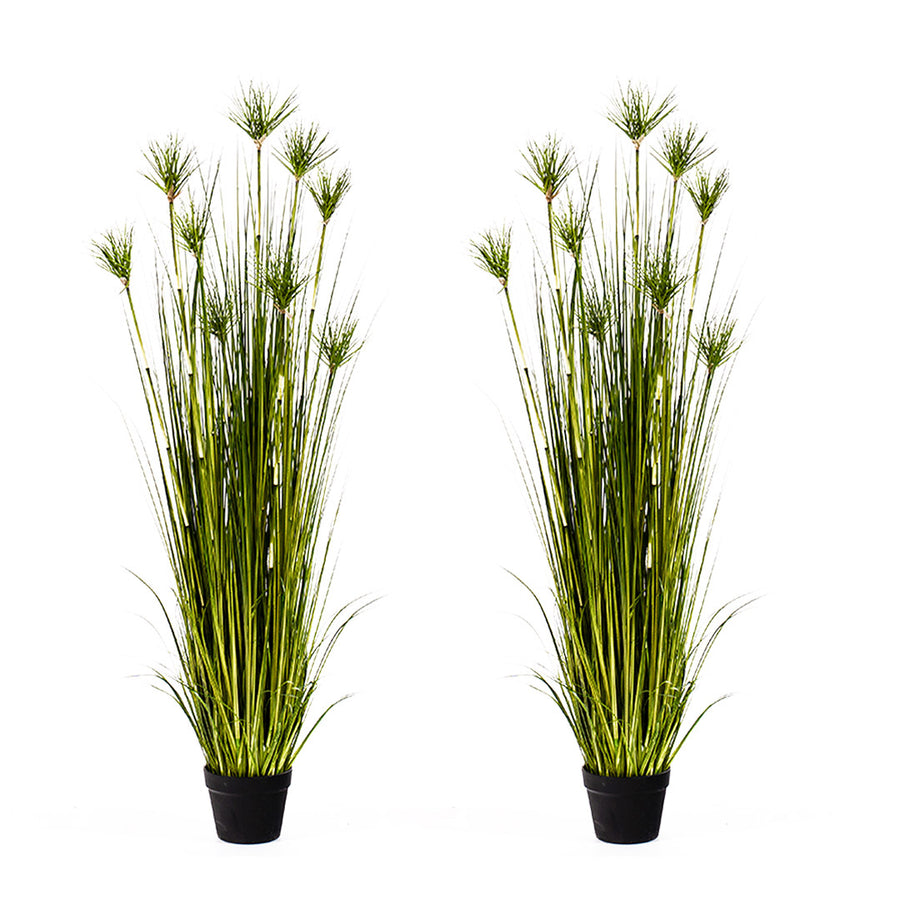 SOGA 2X 150cm Cyperus Papyrus Plant Tree Artificial Green Grass, Home Or Office Indoor Greenery Accent