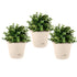 SOGA 19.5 cm  Plastic Plant Pot Self Watering Planter Flower Bonsai Indoor Outdoor Garden Decor Set of 3
