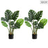 SOGA 2X 80cm Artificial Indoor Potted Turtle Back Fake Decoration Tree Flower Pot Plant