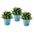 SOGA 19.5 cm Blue Plastic Plant Pot Self Watering Planter Flower Bonsai Indoor Outdoor Garden Decor Set of 3