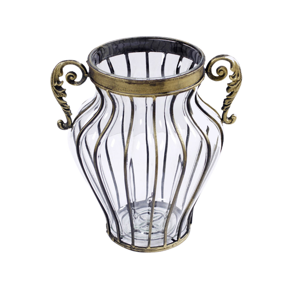 SOGA Clear European Glass Home Decor Flower Vase with Two Metal Handle