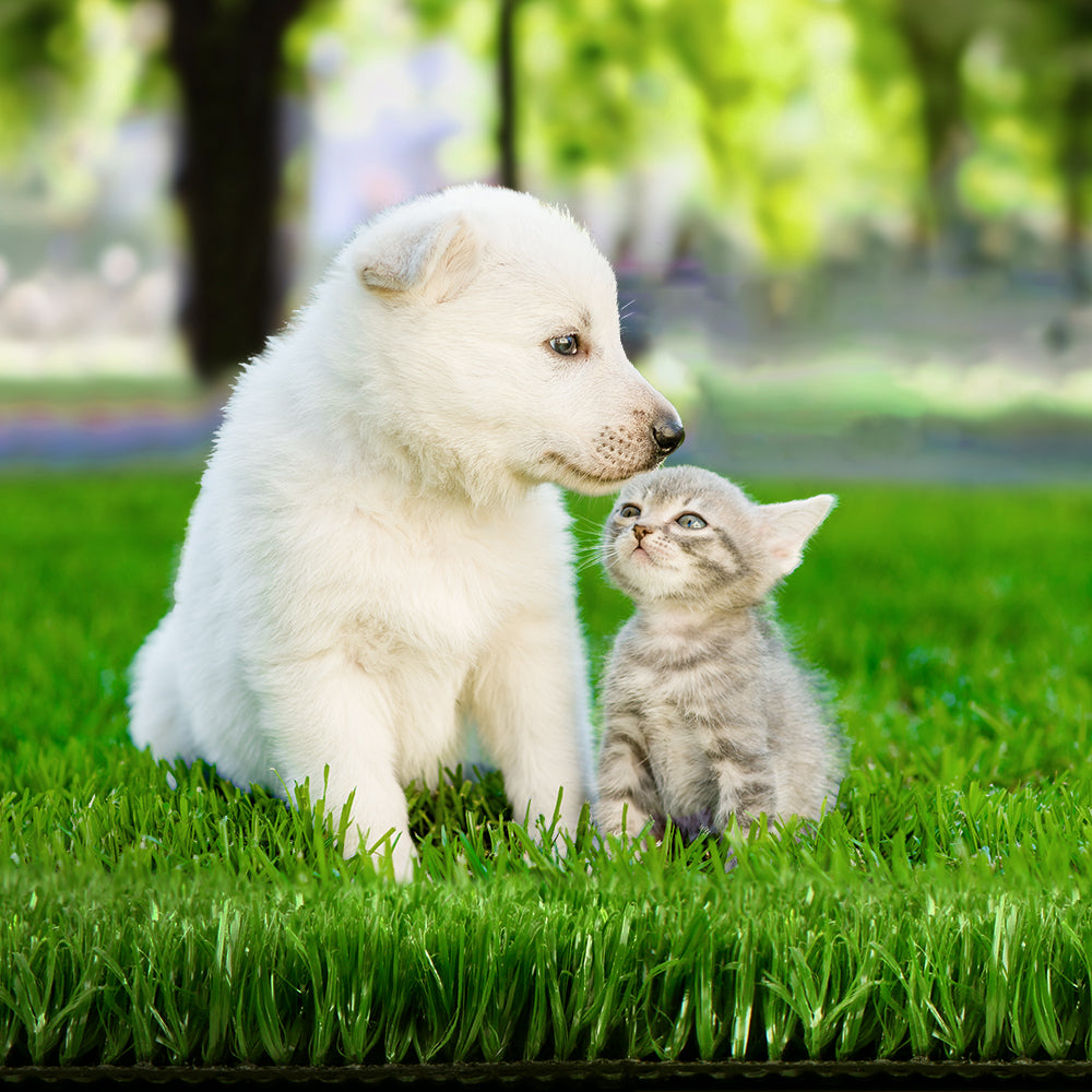 Home & Garden - Collection