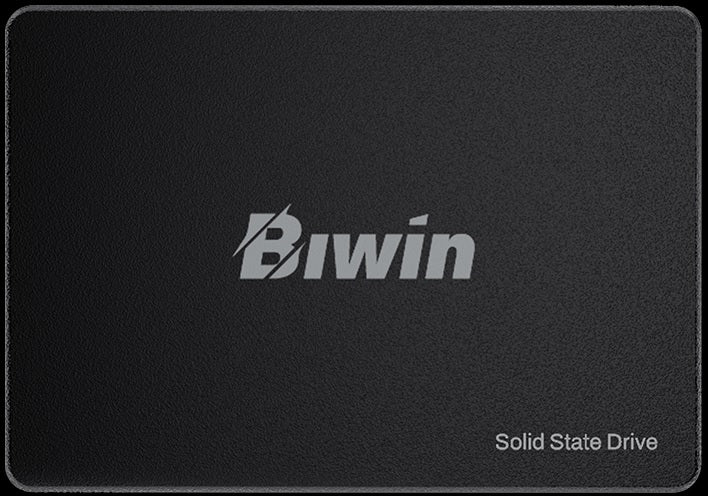 BIWIN M100-1TB SSD 2.5 SATA Writing Speed 550MB/s Reading Speed 500MB/s BM100NN01TB-RGX - 3-Year Warranty