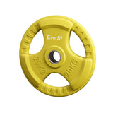 Everfit Weight Plates Olympic 20kg Dumbbell Barbell Plate Weight Lifting Home Gym Yellow