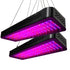 Green Fingers 2X 2000W Grow Lights LED Full Spectrum Indoor Plant All Stage Growth