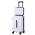 Wanderlite 2pcs Trunk Luggage Suitcase Travel Carry On TSA Lock 12" 20" White