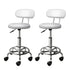 Artiss 2x Salon Stool Swivel Chair Backrest White