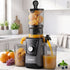 DEVANTI Slow Juicer Cold Press 200W for Fruit Vegetable Juice