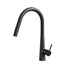 Cefito Kitchen Mixer Tap Pull Out Round 2 Mode Sink Basin Faucet Swivel WELS Black