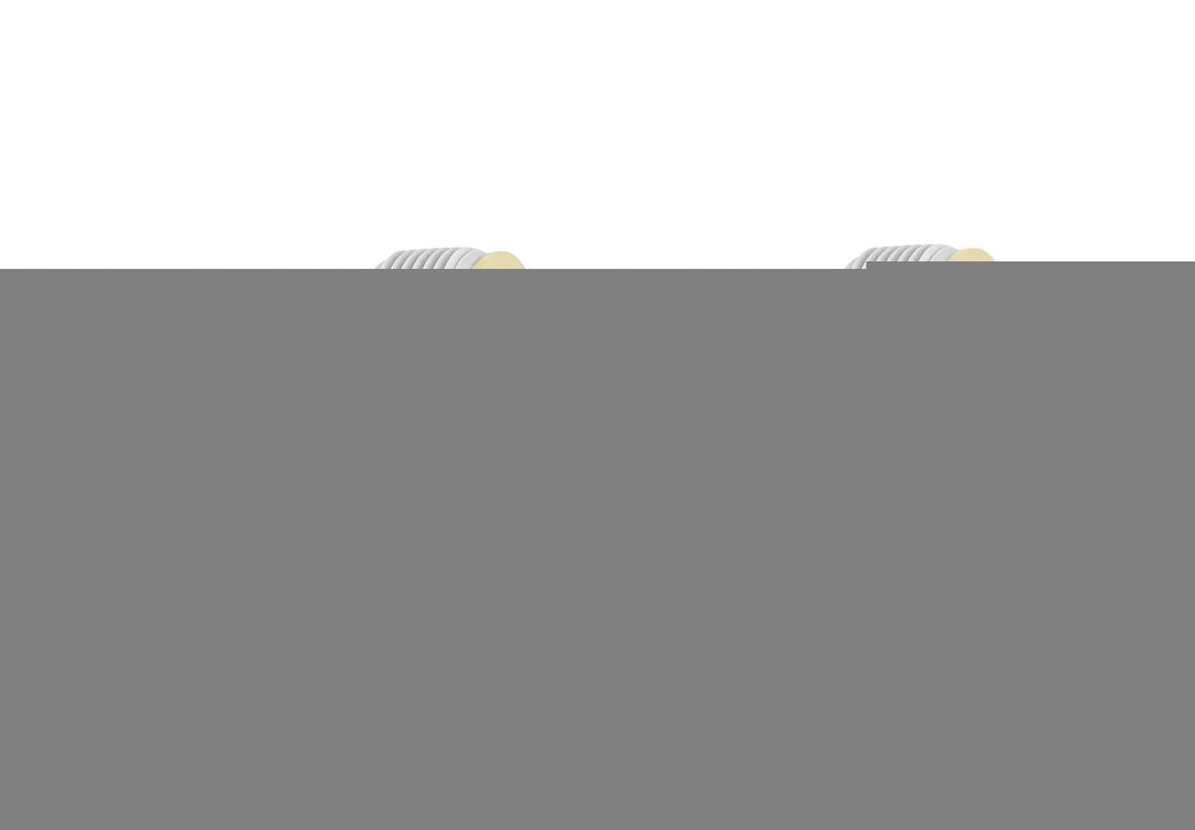 Intex Adapter B (2 Pack) 29061