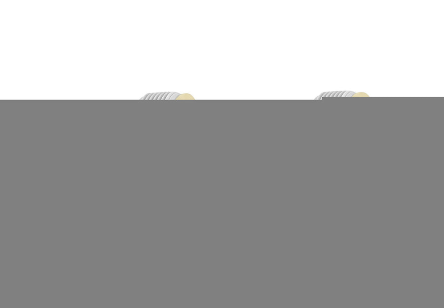 Intex Adapter B (2 Pack) 29061