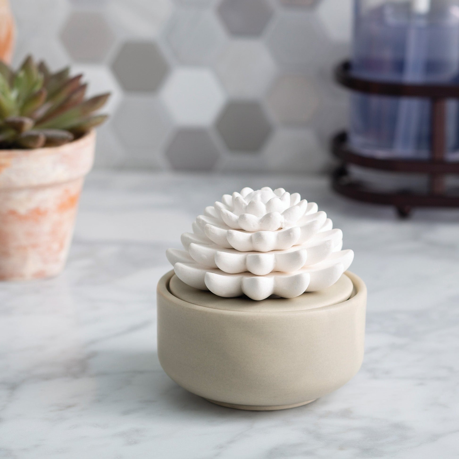 Succulent Porcelain Passive Diffuser - RRP $29.95 - Wholesale