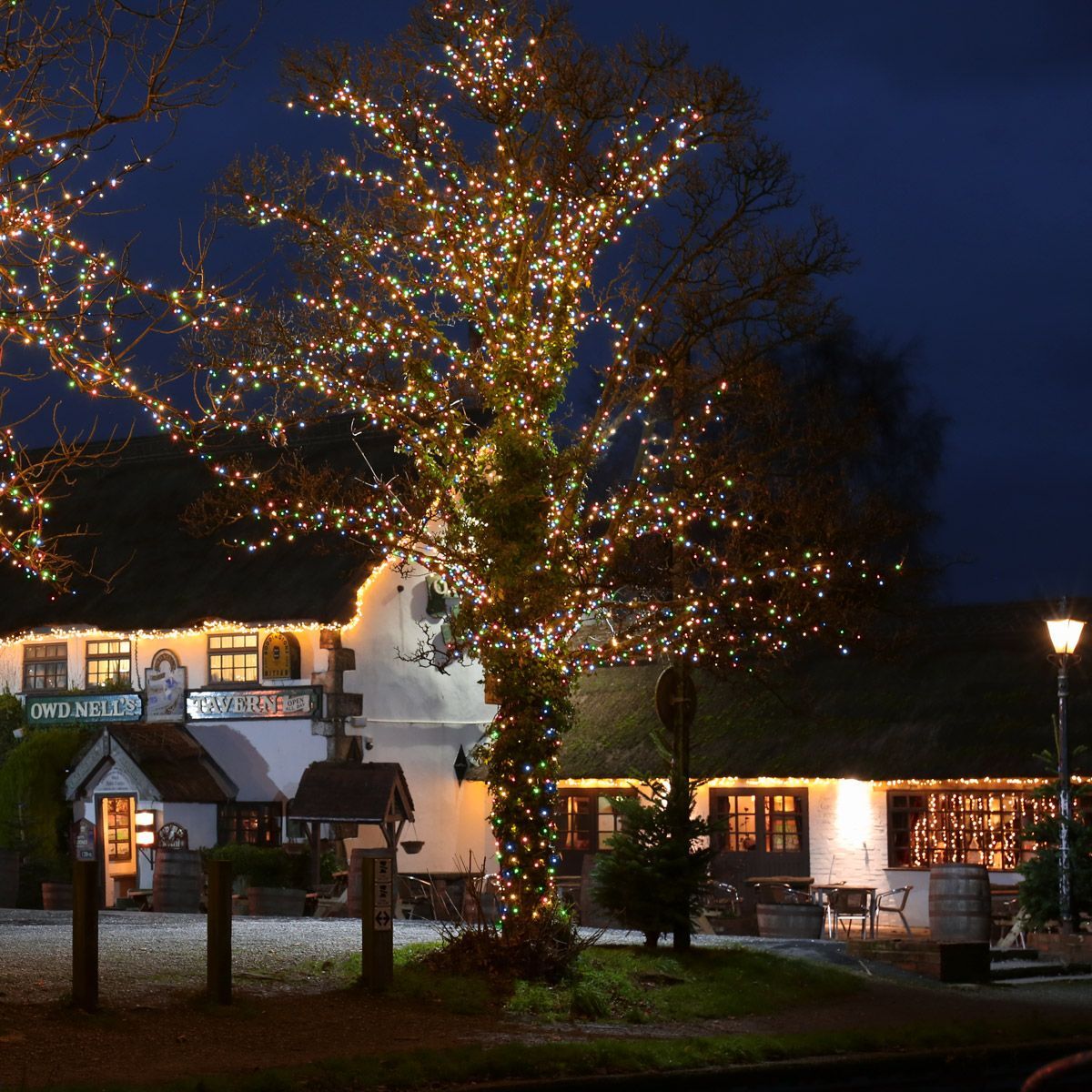 Samland 1200 Led Christmas Fairy Light Multi Colour