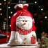 Christmas Gift Bag