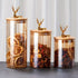 deer head storage jars, food grade canisters, coffee bean container, airtight cereal jar, grain storage set, decorative kitchen jars, pantry organization, glass canisters with lids, wooden lid jars - Clear - Size 3PCS