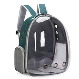 Green transparent pet backpack with side zipper and ventilation holes.