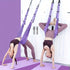 Hanging Fitness Resistance Band: 4-Step Installation, Full-Body Stretching & Strength Training at Home(PURPLE)