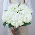 White Green Artificial Hydrangea White Hydrangea 18-Inch Flowers Real-Touch Flowers Wedding