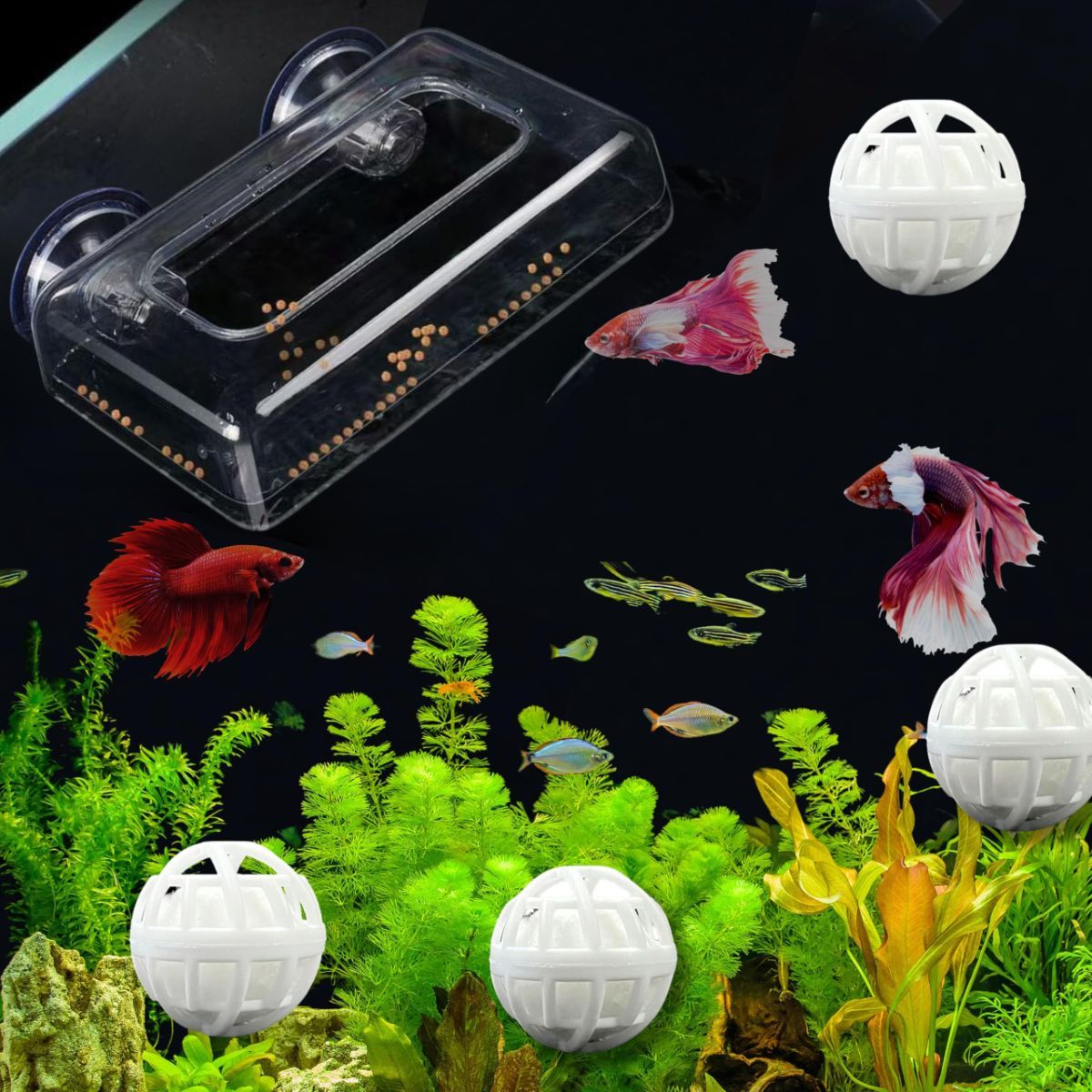 Fish Feeding Box Ring for Turtle with Filter Ball Set, Fish Feeder Ring and Nitrifying Ball, Betta Feeding Floating, Turtle Enrichment Toys, Floating Betta Food Holder (Clear，2Pcs） - Clear - Size M