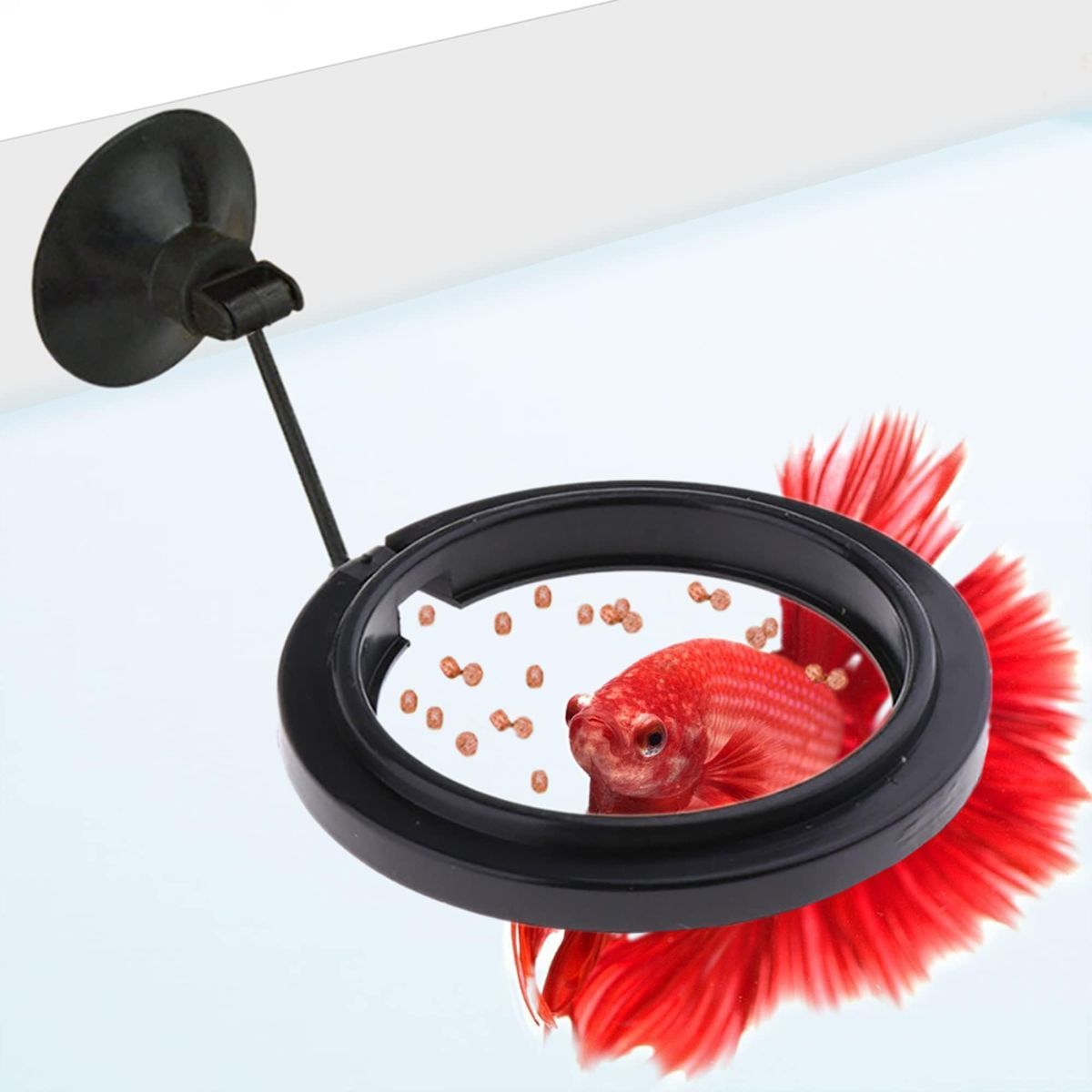 Betta Feeding Ring, Prevent Water Turbulence from Washing Food into Filter, Practical Round Floating Food, Suitable for Guppy, Goldfish and Other Small Fish (5 Pc)