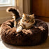 Cat Bed Fluffy Cat Bed Round Cat Bed Cat Furniture Cat Comfort Cat Sleeping Bed - Dark Brown / 24in