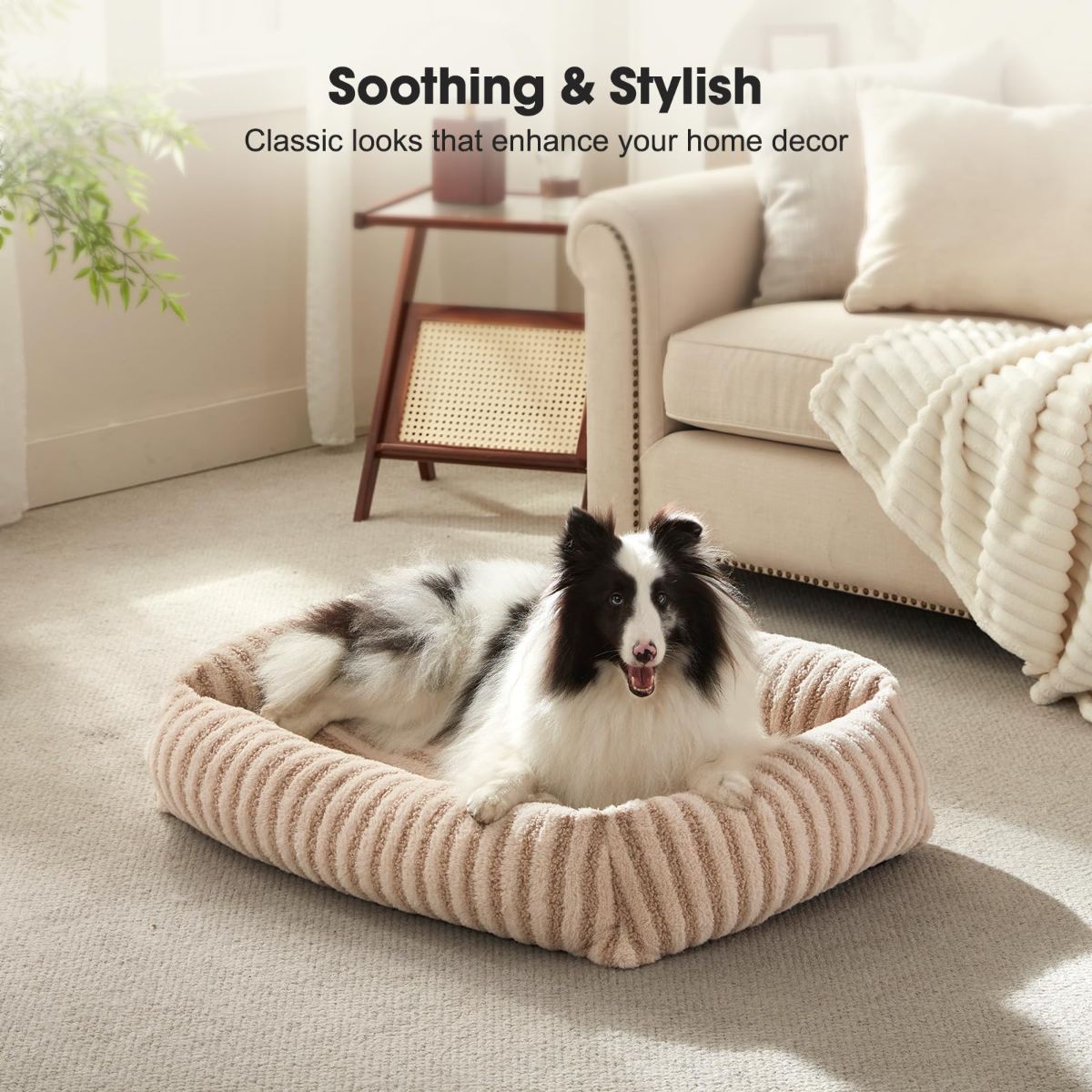 Dog Bed Soft Dog Bed Rabbit Velvet Dog Bed Teddy Fabric Dog Bed Cozy Dog Bed - Beige - Size 25in*21in