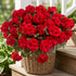 8 Pcs Artificial Red Geranium Silk Flowers for Outdoor Patio Garden & Indoor Home Decor (Red)