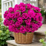8 Pcs Artificial Red Geranium Silk Flowers for Outdoor Patio Garden & Indoor Home Decor (Rose Red)