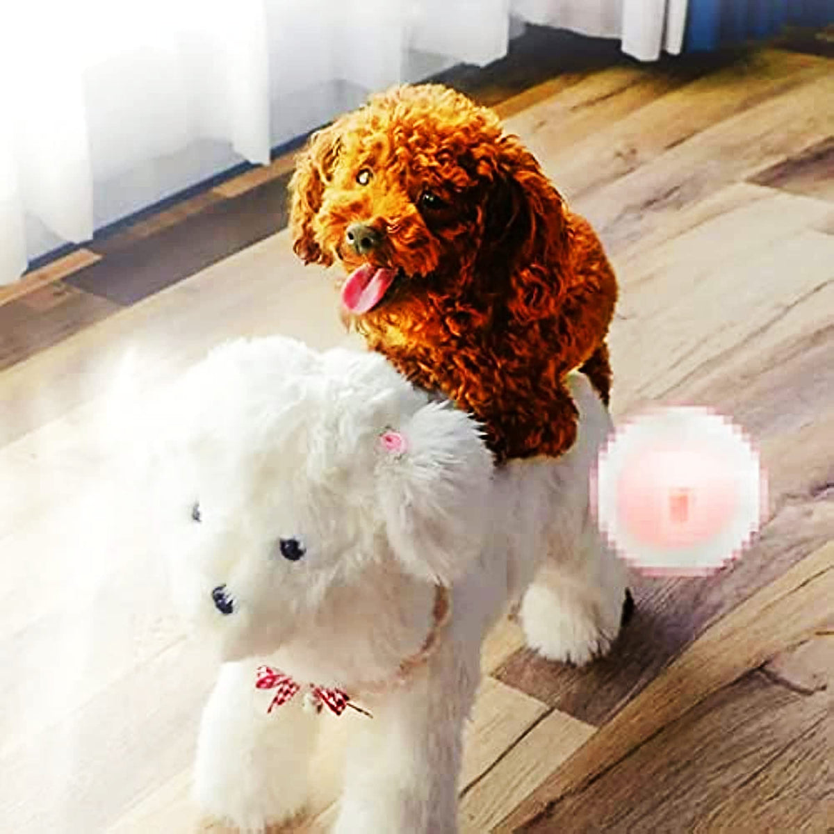 Pet Behavioral Support Doll – Realistic Canine Companion Toy for Stress Relief, Made of TPE Silicone & Soft Fur, Stable Suction Base, 1:1 Anatomical Design, for Small to Medium Dogs (White, Channel Height 18cm)