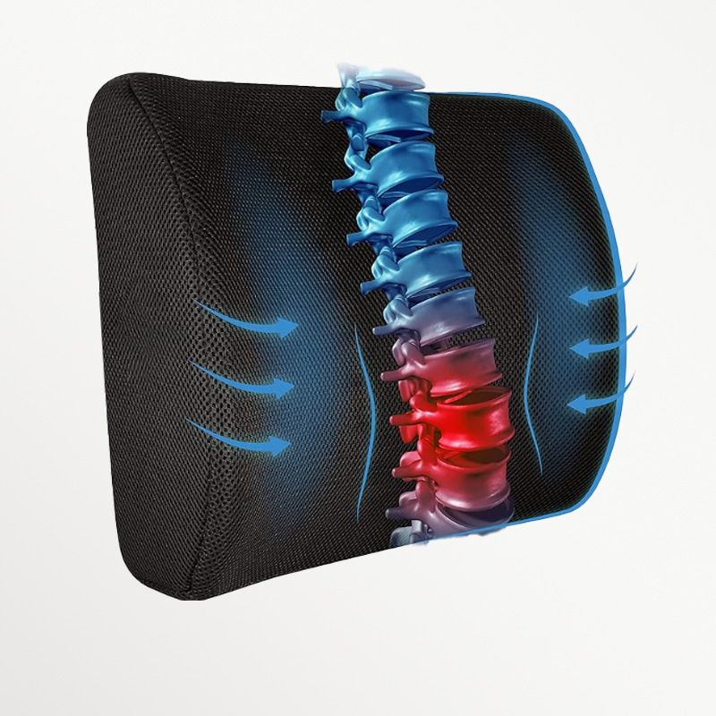 Ergonomic Lumbar Support Cushion with Premium Memory Foam Core, 3D Ventilated Mesh Cover, Dual Adjustable Straps, and Removable Washable Sleeve—Ideal for Office Chairs, Gaming Seats, Cars, and Dining Chairs (Black)