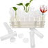 21 Pack 60ml Large Floral Tubes with Rack Holder for Milkweed Cuttings, Raising Caterpillars, Monarchs, Butterflies, Flower Arrangements