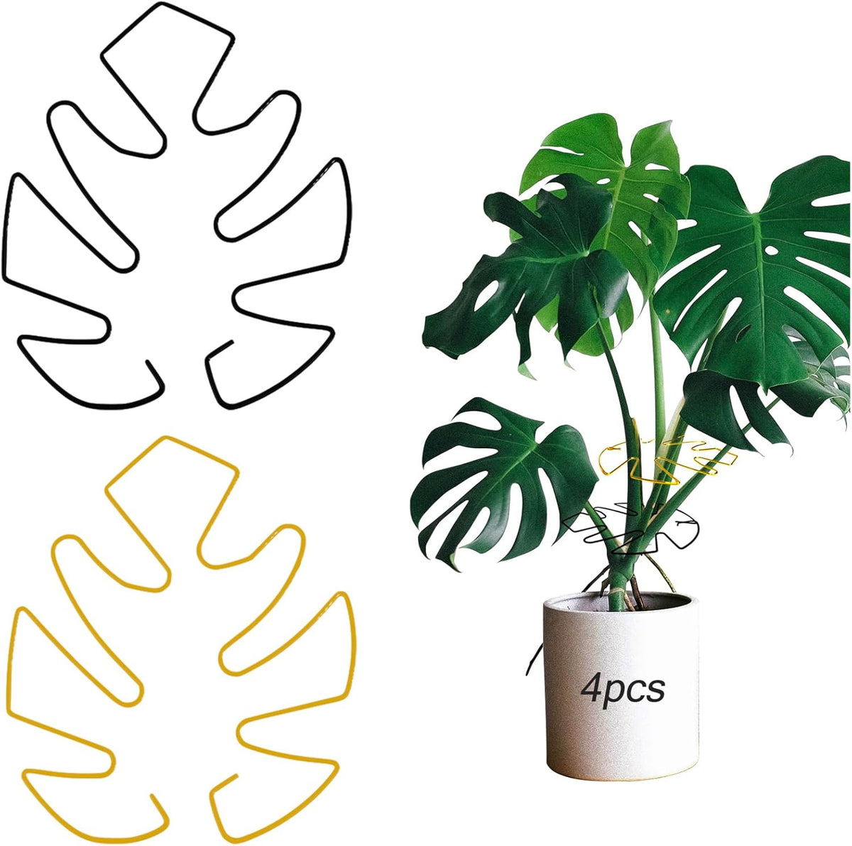 4pcs Iron Plant Stem Supports, Monstera Plant Support Outdoor Indoor Plant Accessories, 2 Colour Turtle Shell Bamboo Clamp Set for Thriving Growth (Gold+Black)