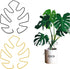 4pcs Iron Plant Stem Supports, Monstera Plant Support Outdoor Indoor Plant Accessories, 2 Colour Turtle Shell Bamboo Clamp Set for Thriving Growth (Gold+Black)