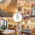 G4 halogen lamps 10W 12V - Warm white - 20-pack 10W 20pcs 10W