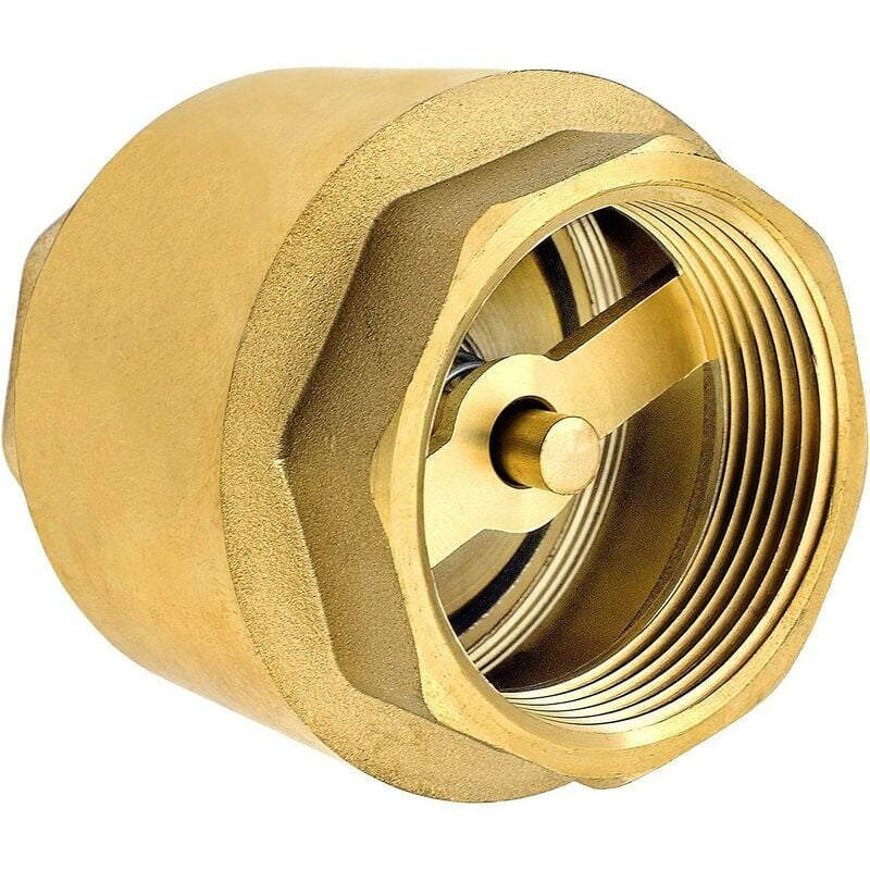1 Inch Brass Check Valve High Quality Heavy Duty Rustproof Leakproof For Pump, Fountain, Washing Machine, Garden, Rain