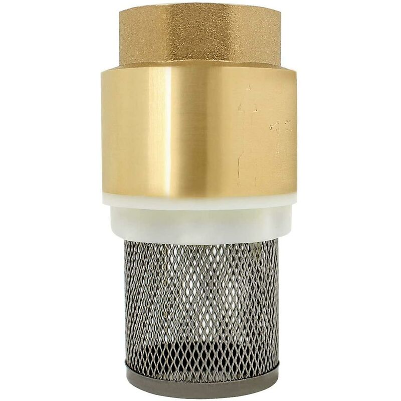 Check Valve 1/2 3/4 1-1/4 1-1/2 2-1/2 3 Inch - Non-Return Valve Pump Check Valve (3/4 Inch)