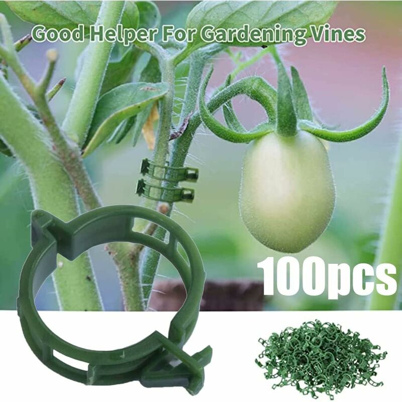 100 pcs Plant Support Clips Tomato Clips Ties Twine Vine Trellis Cages Climbing Plants Vegetables 2.5Cm