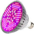 300W E27 Full Spectrum LED Grow Light Bulb Indoor Plant Grow Lamp For Greenhouse Garden